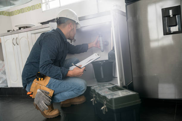 Best Sprinkler Systems  in Duluth, WA