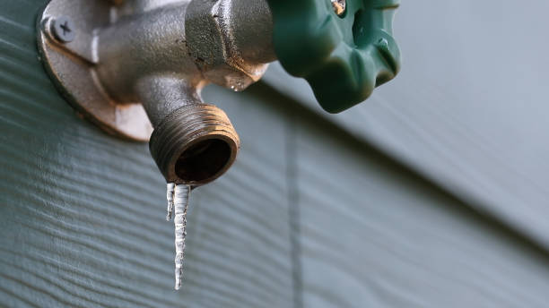 Best Drain Cleaning Services  in Duluth, WA