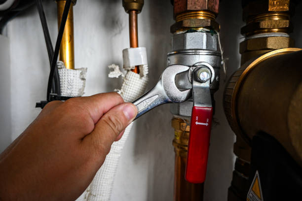 Best Emergency Plumber  in Duluth, WA